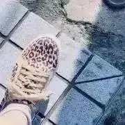 すめしの画像