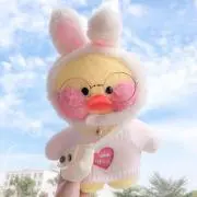 ぴよこの画像