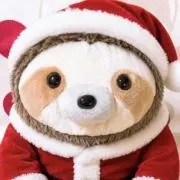 もっちゃんの画像
