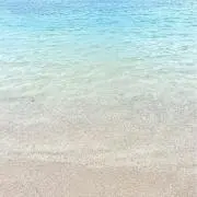 aoの画像