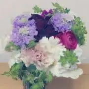 s.プロフ必読の画像