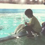 ぶーりん。の画像