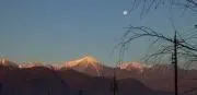 リュウジン
