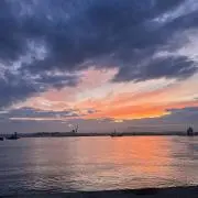 FOX-即購入歓迎の画像