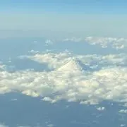 Kukimbiaの画像