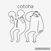 cntoha shopの画像