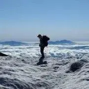 とびうおの画像