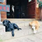 Sostayの画像