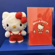 ぴったんの画像