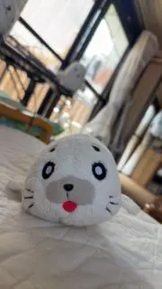 湯浅の画像