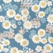 joie☆の画像