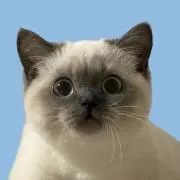 ★の画像