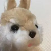 まぢへんぺねぇっすよ❗️※プロフ見てねの画像