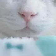 moeの画像