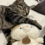 coco＊即購入ok