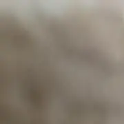もこの画像