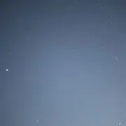 ちゃぼ