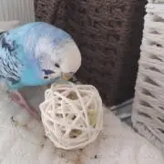 スーパーマミー♡