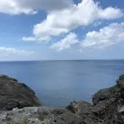 希の画像