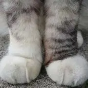 はい