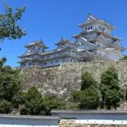 リオネル・メッシの画像