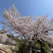 ゆきだるまの画像
