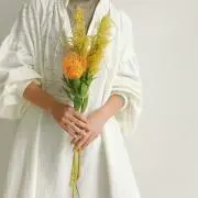 fm☆の画像