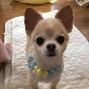 まんじろう