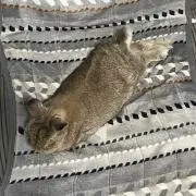まさひろ