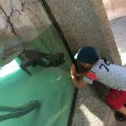 はっちゃんの画像