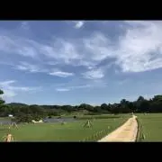 Ddの画像