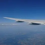 ピザまん