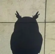 脊椎の画像