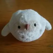 hi☆の画像