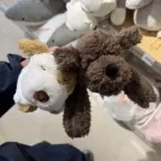 ruruの画像