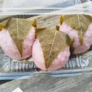 aaさくらもちの画像