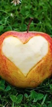 Love&Truthの画像