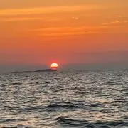 Daiwa ISO 3-63 磯竿 12フィート値下げ - メルカリ