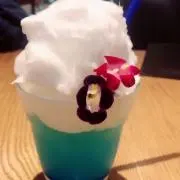 ぽちの画像