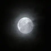 るいの画像