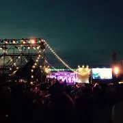 white buffaloの画像