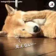 いいね！いらない！コメのみ！あや