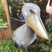 ずん