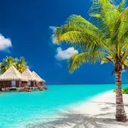 Image of Holiday＊Select