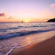 O.H【ECO】の画像