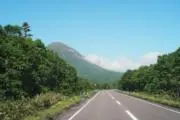 グラの画像