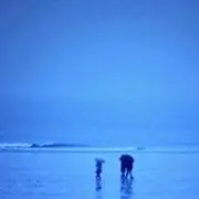 Heymi