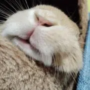 らび☺︎らび