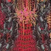 貴様