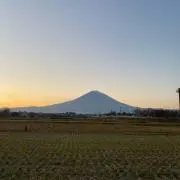 358の画像